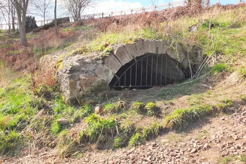 Photo of Dalkeith Country Park, a garden in Midlothian, central Scotland.