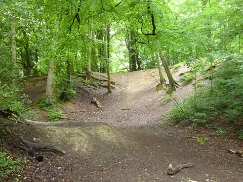 Photo of Hogback Wood, a nature reserve near Beaconsfield in the Chilterns, Buckinghamshire, south east England.