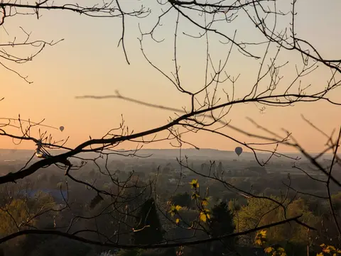 Photo of the Chilterns, a National Landscape in England.