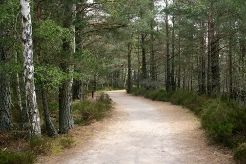 Photo of Abernethy, a National Nature Reserve near Nethy Bridge in the Cairngorms, Highland, the Scottish Highlands and Islands.