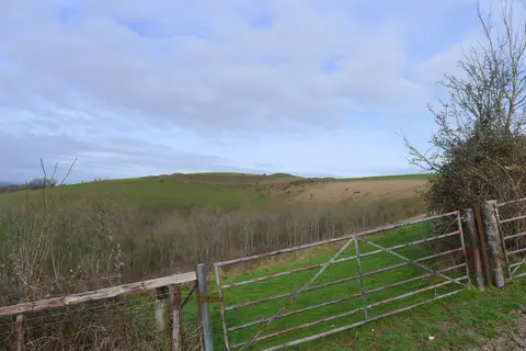 Photo of Hambledon Hill, a National Nature Reserve near Sturminster Newton, Dorset, south west England.