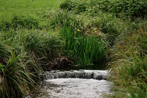 Photo of Morden Hall Park, a country estate near Morden South, London, England.