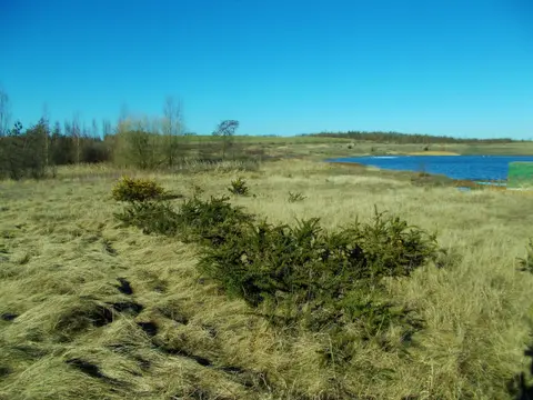Photo of Pleasley Pit Country Park, a country park near Mansfield Woodhouse, Derbyshire, central England.