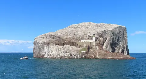 Photo of Bass Rock, an island in East Lothian, central Scotland.