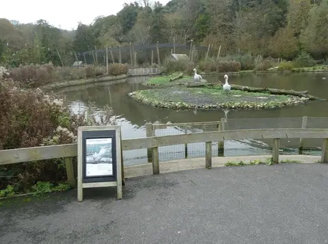 Photo of WWT Arundel Wetland Centre, a nature reserve in the South Downs, West Sussex, south east England.