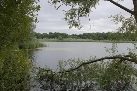 Photo of Stanwick Lakes Country Park, a country park near Lowick, Northamptonshire, central England.