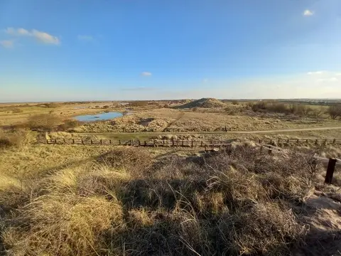 Photo of Saltfleetby-Theddlethorpe Dunes NNR, a nature reserve in Lincolnshire, central England.