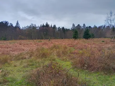 Photo of The Chase, Woolton Hill, a nature reserve near Newbury in the North Wessex Downs, Hampshire, south east England.