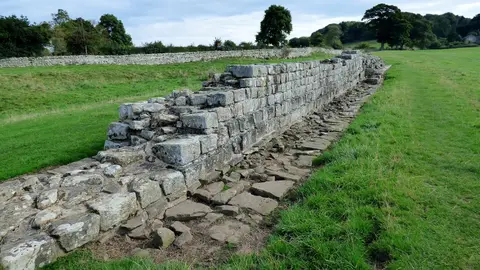 Photo of Planetrees, Hadrian's Wall, a frontier wall near Hexham, Northumberland, north east England.