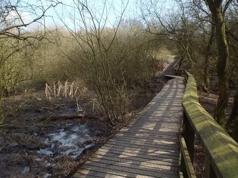 Photo of Chasewater Country Park, a country park near Cannock, Staffordshire, central England.