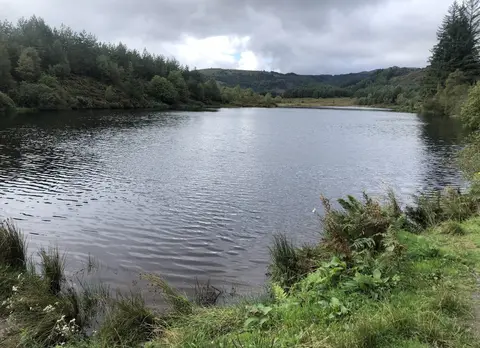 Photo of Three Lochs Forest Drive, a visitor attraction near Brig o' Turk in Loch Lomond & The Trossachs, Stirling, central Scotland.