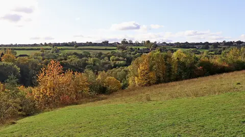 Photo of Severn Valley Country Park, a country park near Bewdley, Shropshire, central England.