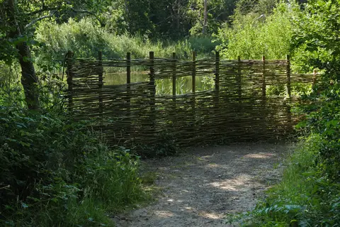 Photo of Bookham Commons, a Site of Special Scientific Interest near Mickleham, Surrey, south east England.