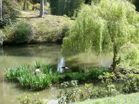 Photo of Leonardslee, a Grade I registered house & garden near Warninglid in the High Weald, West Sussex, south east England.