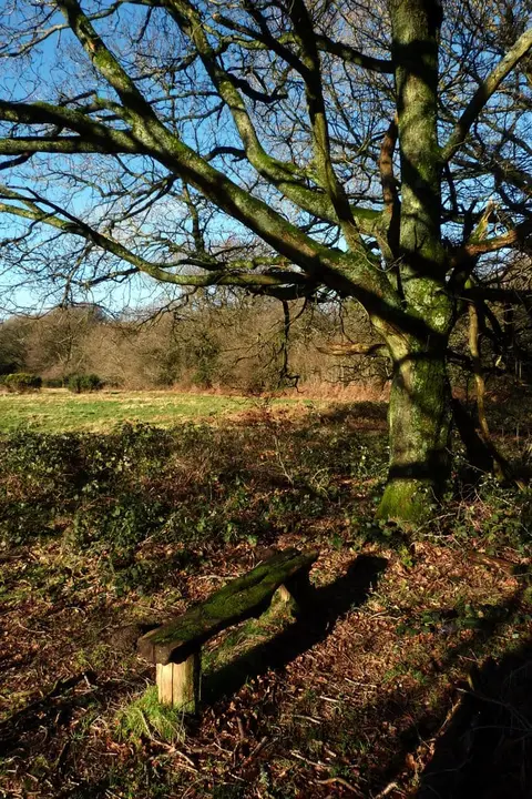 Photo of Selborne Common, a Site of Special Scientific Interest in the South Downs, Hampshire, south east England.
