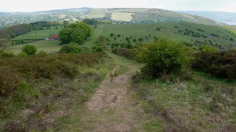 Photo along the Mendip Way, a 50-mile long-distance path running from Uphill to Frome, south west England.