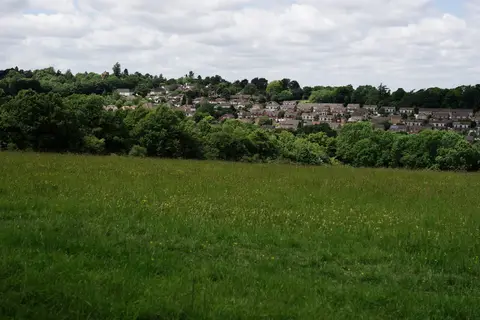 Photo of Selsdon Wood, a nature reserve near Godstone, London, England.