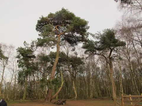 Photo of Brereton Heath Country Park, a country park near Astbury, Cheshire, north west England.