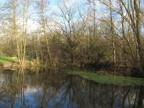 Photo of Belhus Woods Country Park, a country park near Ockendon, Essex, England.