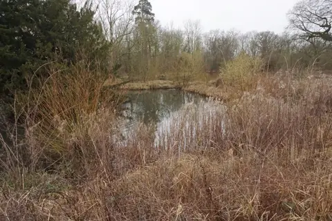 Photo of Hatfield Forest Country Park, a country park near Great Dunmow, Essex, eastern England.