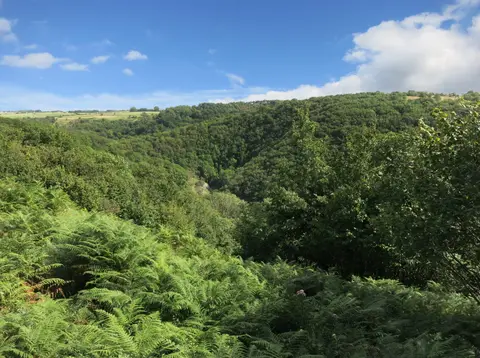 Photo of Cheddar Gorge, a Site of Special Scientific Interest in the Mendip Hills, Somerset, south west England.