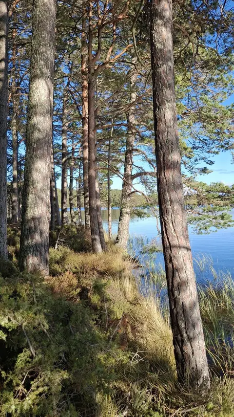 Photo of Loch Garten, a loch near Boat of Garten in the Cairngorms, Highland, the Scottish Highlands and Islands.