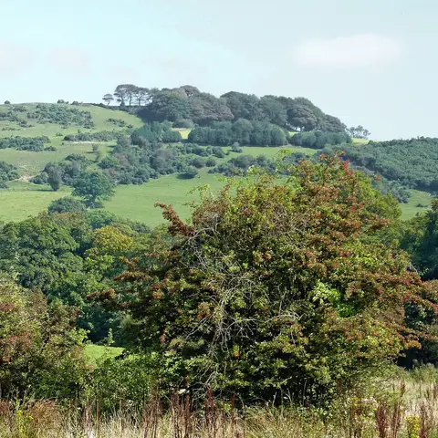 Photo of Eddisbury Park Field, a country estate near Bollington, Cheshire, north west England.