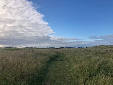 Photo along the Northumberland Coast Path, a 62-mile long-distance path running from Cresswell to Berwick-upon-Tweed, north east England.