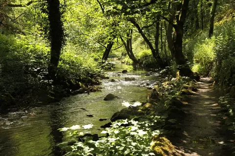 Photo of Chee Dale, a gorge near Tideswell in the Peak District, Derbyshire, central England.