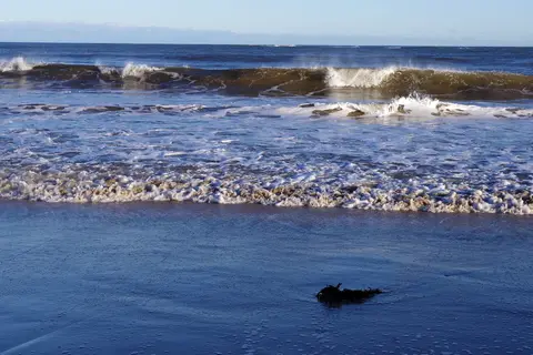 Photo of Low Newton, a swimming spot near Low Newton-by-the-Sea, Northumberland, north east England.
