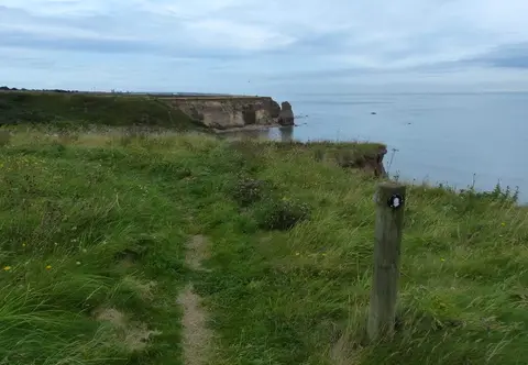 Photo of Durham Coast SSSI, a Site of Special Scientific Interest near Sunderland, County Durham, north east England.