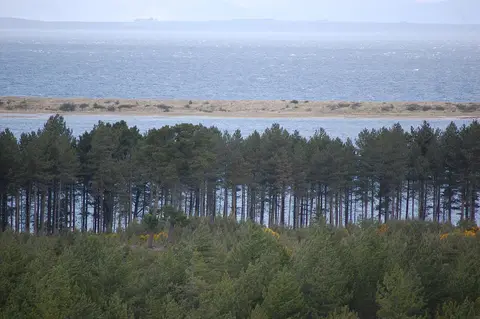 Photo of Culbin Forest, a visitor attraction near Nairn, Highland, the Scottish Highlands and Islands.