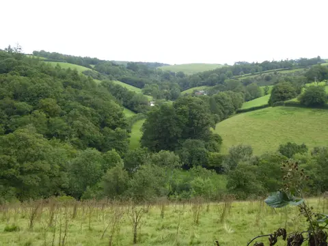 Photo of Buzzards, a nature reserve near Bampton (Bampton), Devon, south west England.