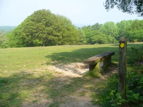 Photo of Holmwood Common, a country estate near Coldharbour, Surrey, south east England.