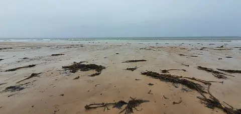 Photo of Druridge Bay South, a swimming spot near Cresswell, Northumberland, north east England.