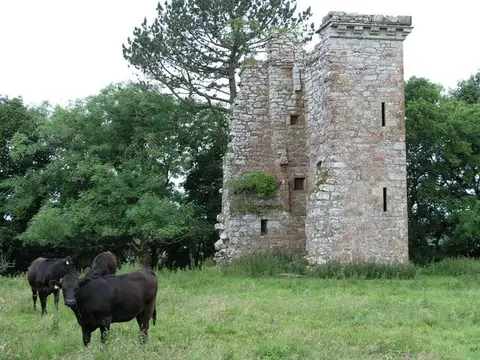 Photo of Woodhouse Tower, a ruined castle near Ecclefechan, Dumfries and Galloway, southern Scotland.