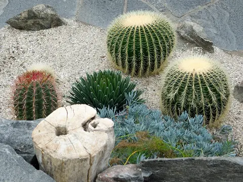 Photo of Inverness Botanic Gardens, a garden in Highland, the Scottish Highlands and Islands.
