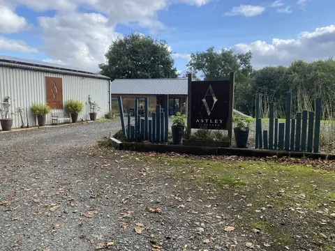Photo of Astley Vineyard, a vineyard in Worcestershire, central England.