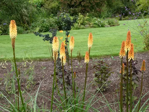 Photo of Threave Garden, a garden near Castle Douglas, Dumfries and Galloway, southern Scotland.