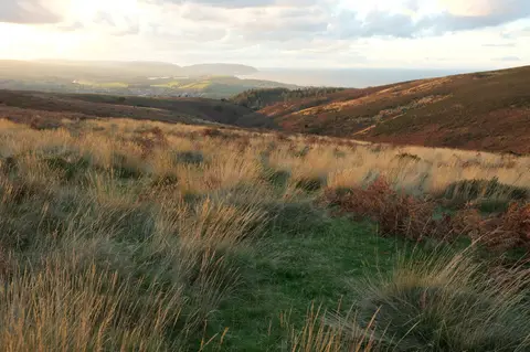 Photo of Beacon and Bicknoller Hills, a country estate in the Quantock Hills, Somerset, south west England.