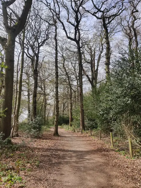 Photo of Beacon Hill Country Park, a country park near Woodhouse Eaves, Leicestershire, central England.