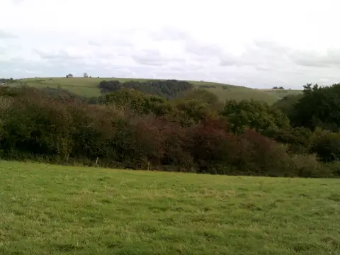 Photo: Walbury Hill, a 297m hill near Kintbury in the North Wessex Downs, Berkshire, south east England.