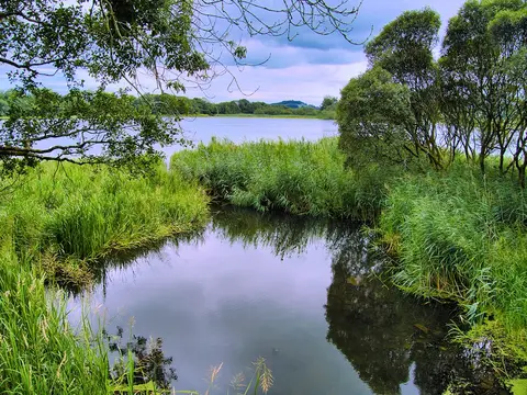 Photo of Carlingwark Loch, a loch near Castle Douglas, Dumfries and Galloway, southern Scotland.