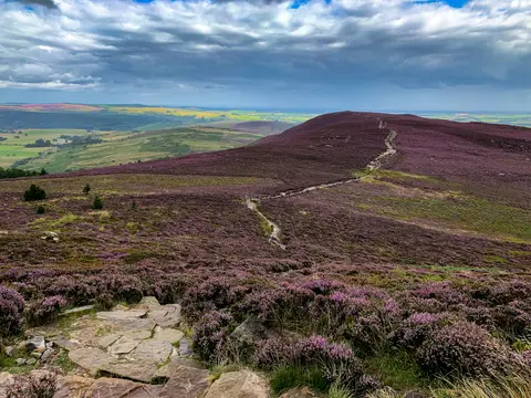 Photo of Simonside Hills, a Site of Special Scientific Interest near Rothbury, Northumberland, north east England.