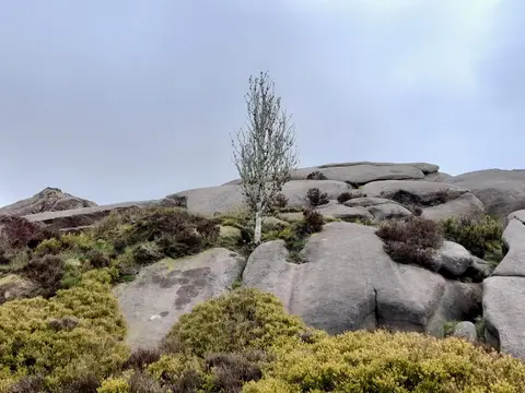 Photo of Ramshaw Rocks, a rock formation near Flash in the Peak District, Staffordshire, central England.