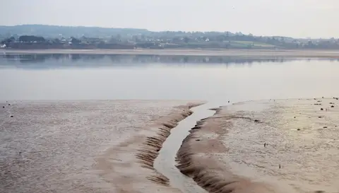 Photo of Exe Estuary, a Site of Special Scientific Interest near Topsham, Devon, south west England.