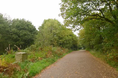 Photo of Downs Banks, a country estate near Barlaston, Staffordshire, central England.