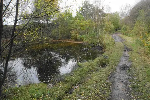 Photo of Poulter Country Park, a country park near Langwith - Whaley Thorns, Derbyshire, central England.