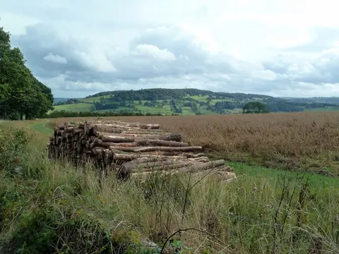 Photo of The Wye Valley, a Site of Special Scientific Interest near Tideswell in the Peak District, Derbyshire, central England.
