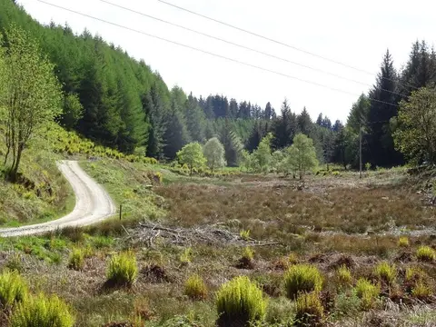 Photo of Knapdale, a National Scenic Area in Argyll and Bute, the Scottish Highlands and Islands.